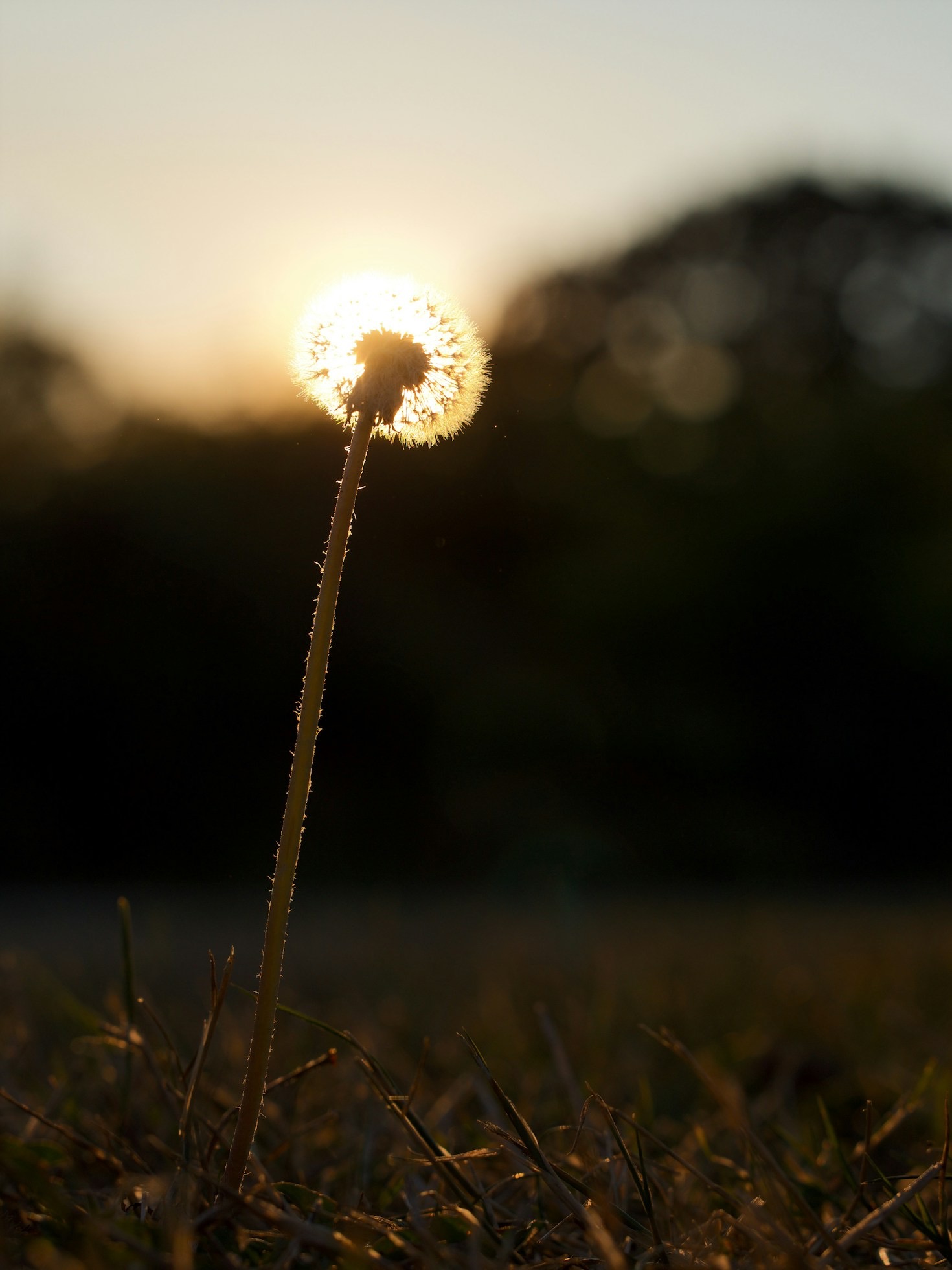 The Profound Impact of Supernatural Encounters