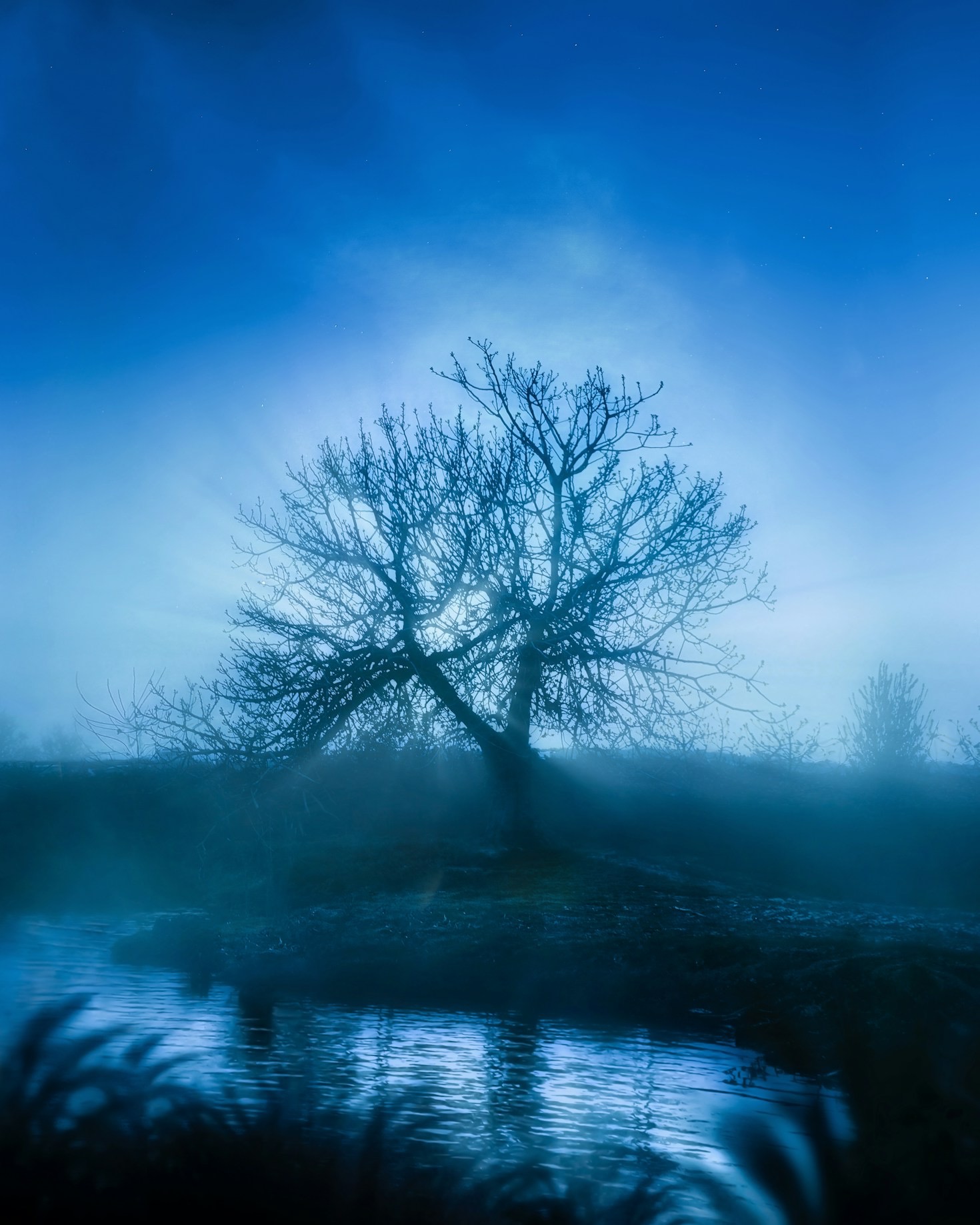 Understanding Humanity’s Place Through Spiritual Eyes